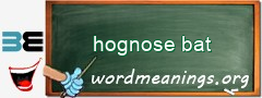 WordMeaning blackboard for hognose bat